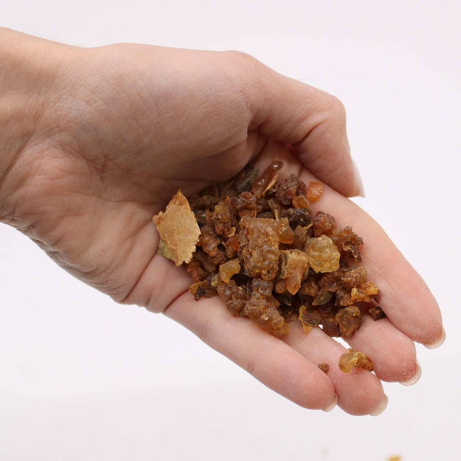 Gros plan sur des grains de résine de myrrhe brun doré en vrac, avec une main présentant quelques morceaux pour illustrer leur forme irrégulière et leur aspect naturel