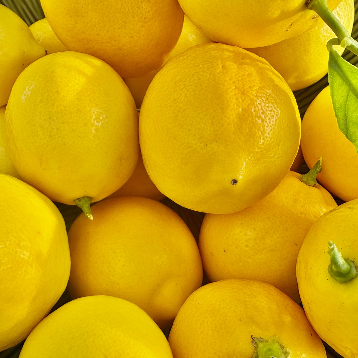 Citron, avec une feuille verte