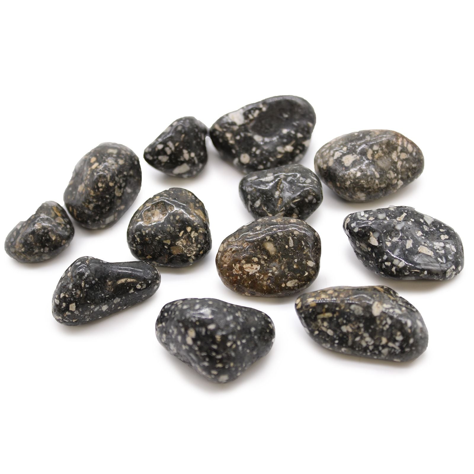 Pierre Roulée Jaspe Guinea Fowl | Lot de 12 Pierres Naturelles Africaines