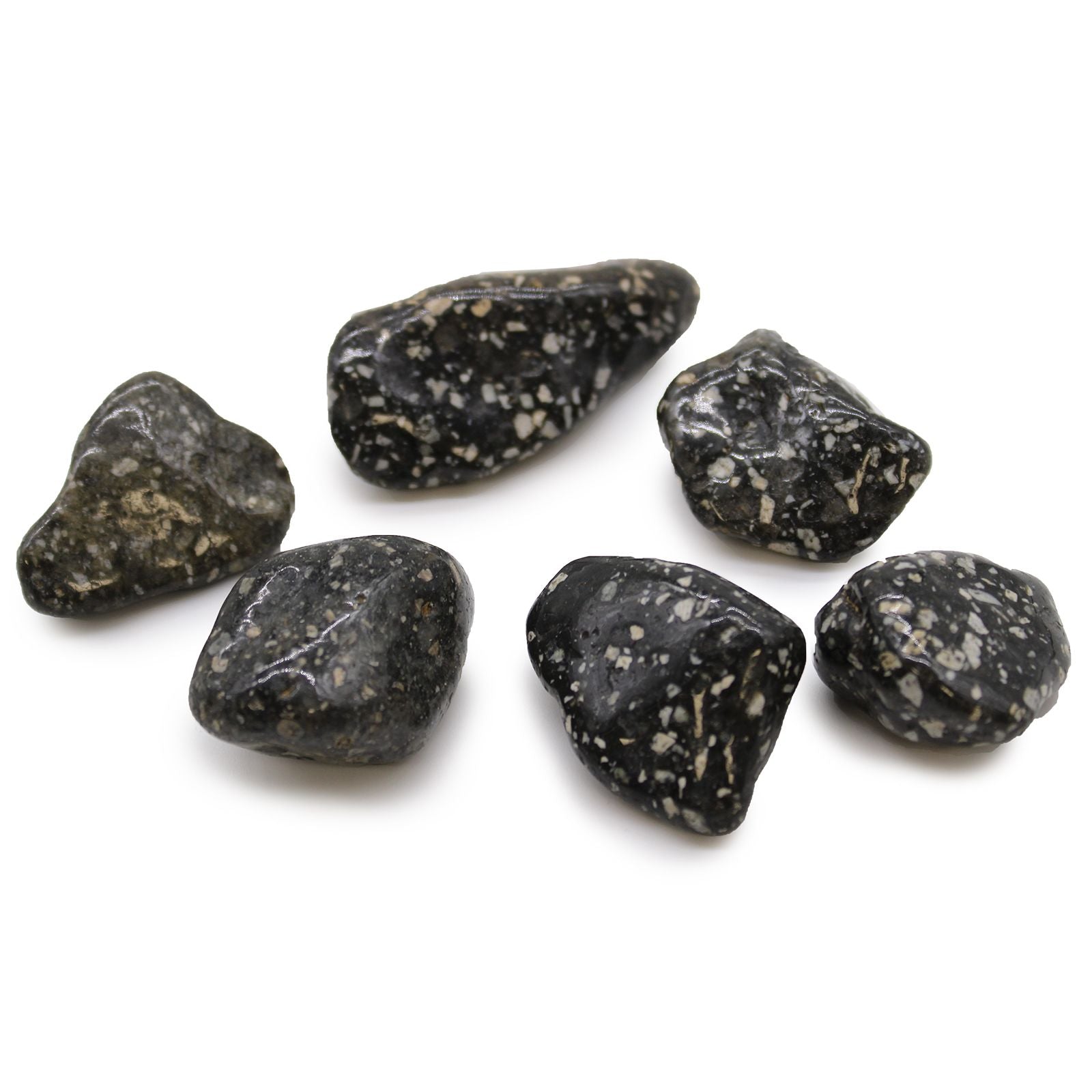Pierres Roulées Jaspe Guinea Fowl | Lot de 6 Grandes Pierres Naturelles