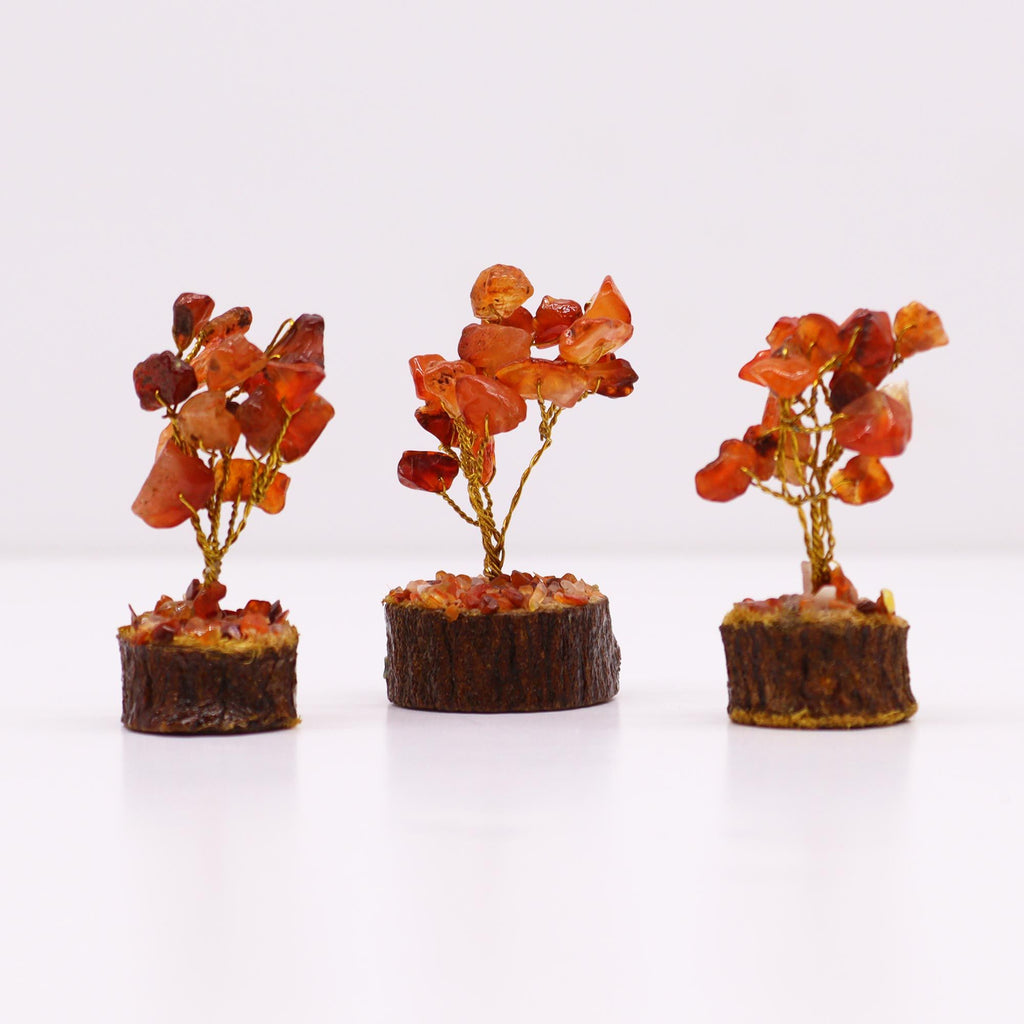 Arbre en Pierre Cornaline | Décoration Zen Naturelle sur Socle Bois