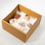 Pointes Polies Matrix & Tourmaline | Lot de 5-6 Pierres Naturelles