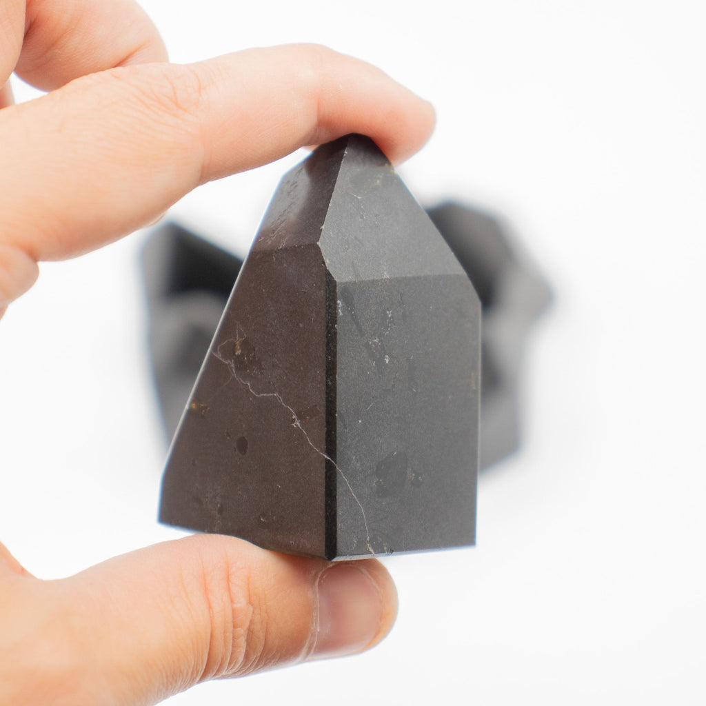 Pointes de Tourmaline Noire Indienne | Lot de 7-8 Pierres Naturelles