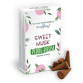 Boite de cones d encens classique naturels senteur musc doux avec cones marron poses devant packaging blanc vegetal