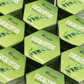 boîtes d’encens backflow masala aromatika parfum eucalyptus pack de 10 cônes pour brûleur encens cascade