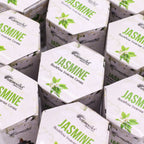 boîtes d’encens backflow masala aromatika parfum jasmin pack de 10 cônes pour brûleur encens cascade