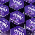 boîtes d’encens backflow masala aromatika parfum lavande pack de 10 cônes pour brûleur encens cascade