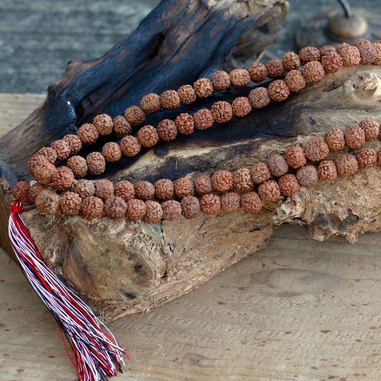 Mala en perles de rudraksha naturelles posé sur une surface en bois brut avec pompon rouge et blanc, ambiance naturelle et authentique.