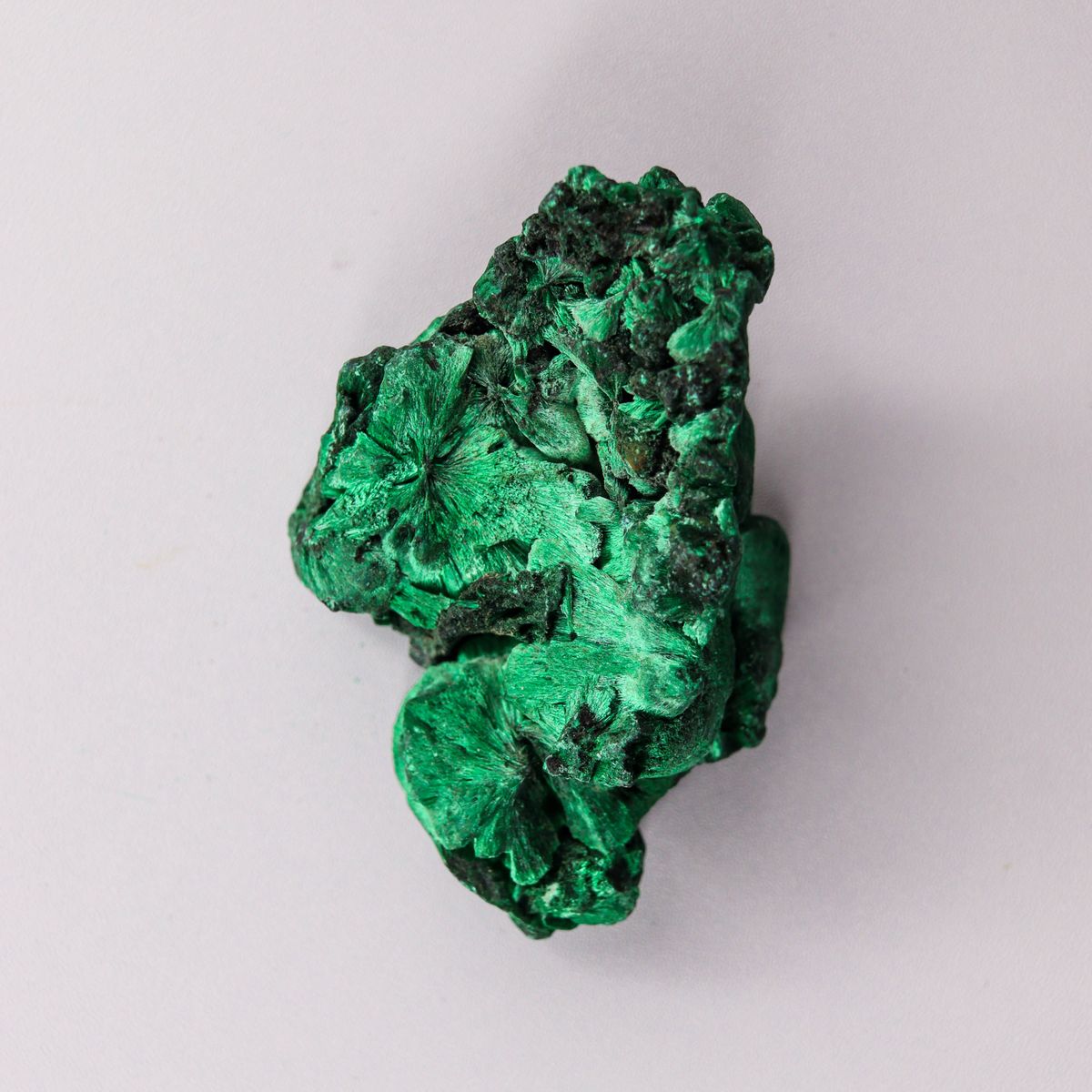 Spécimen de malachite sur fond blanc
