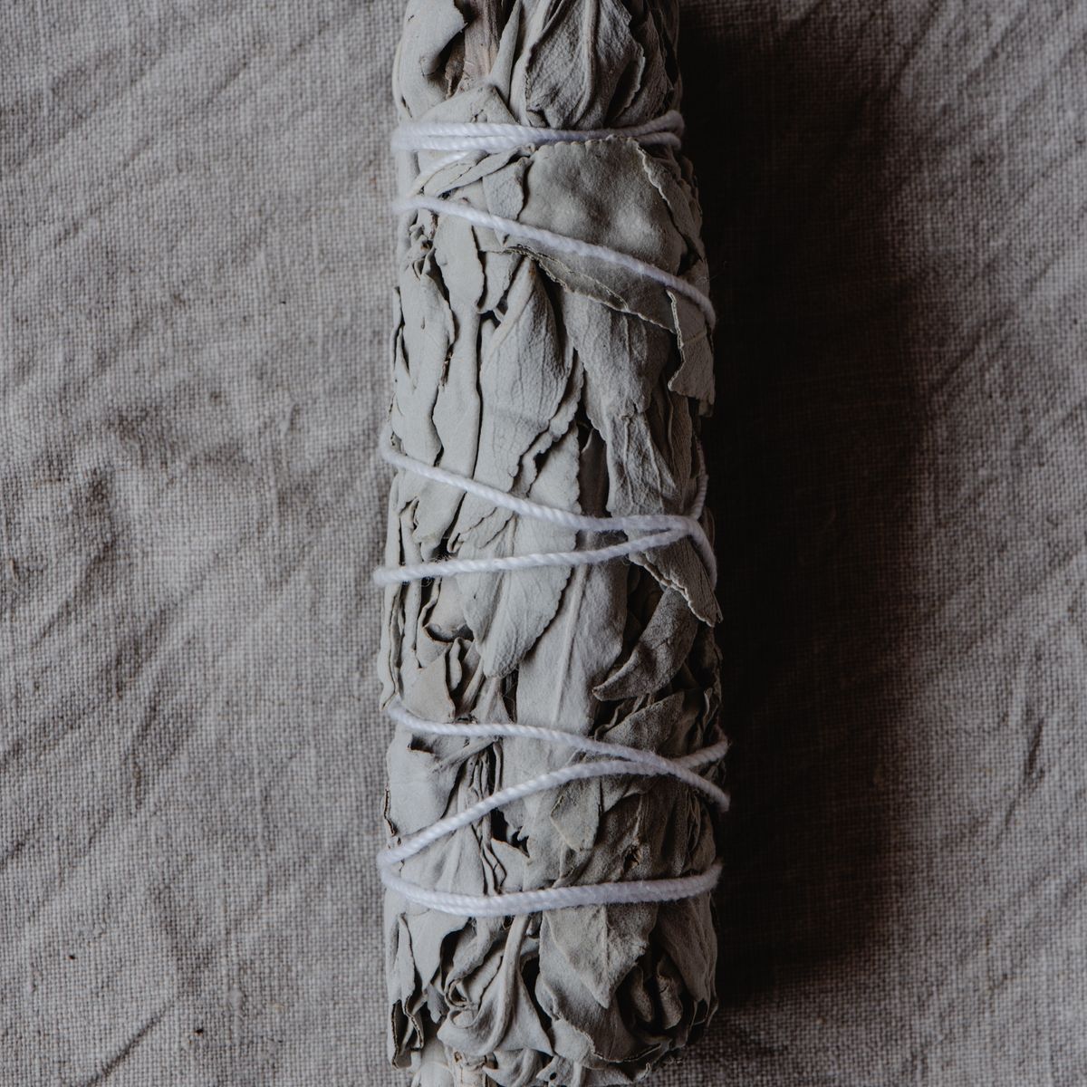 Sauge blanche séchée sur tissu